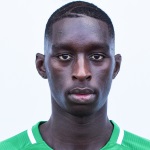 P. N&apos;Diaye