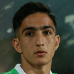 Mohammad Ehsan Hosseini