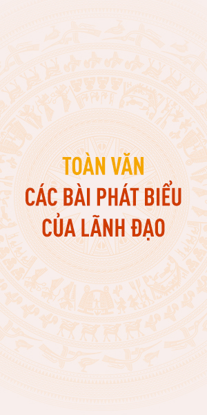 Toàn văn